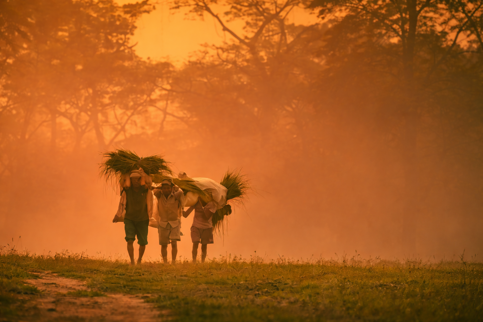 Nepali farmers carrying harvest representing the origin of Rato Bhale food products